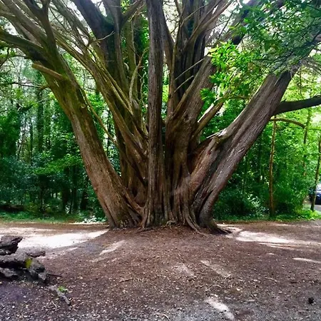 Abbeycourt Kerry 3* Kenmare