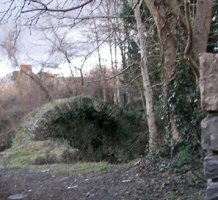 Abbeycourt Kerry Gasthuis