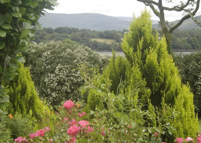 Abbeycourt Kerry 3* Kenmare