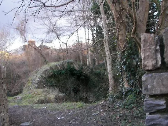 Abbeycourt Kerry Pensjonat